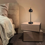 Desk Lamp | Flexible Rechargeable Iron Adjustable Task Light