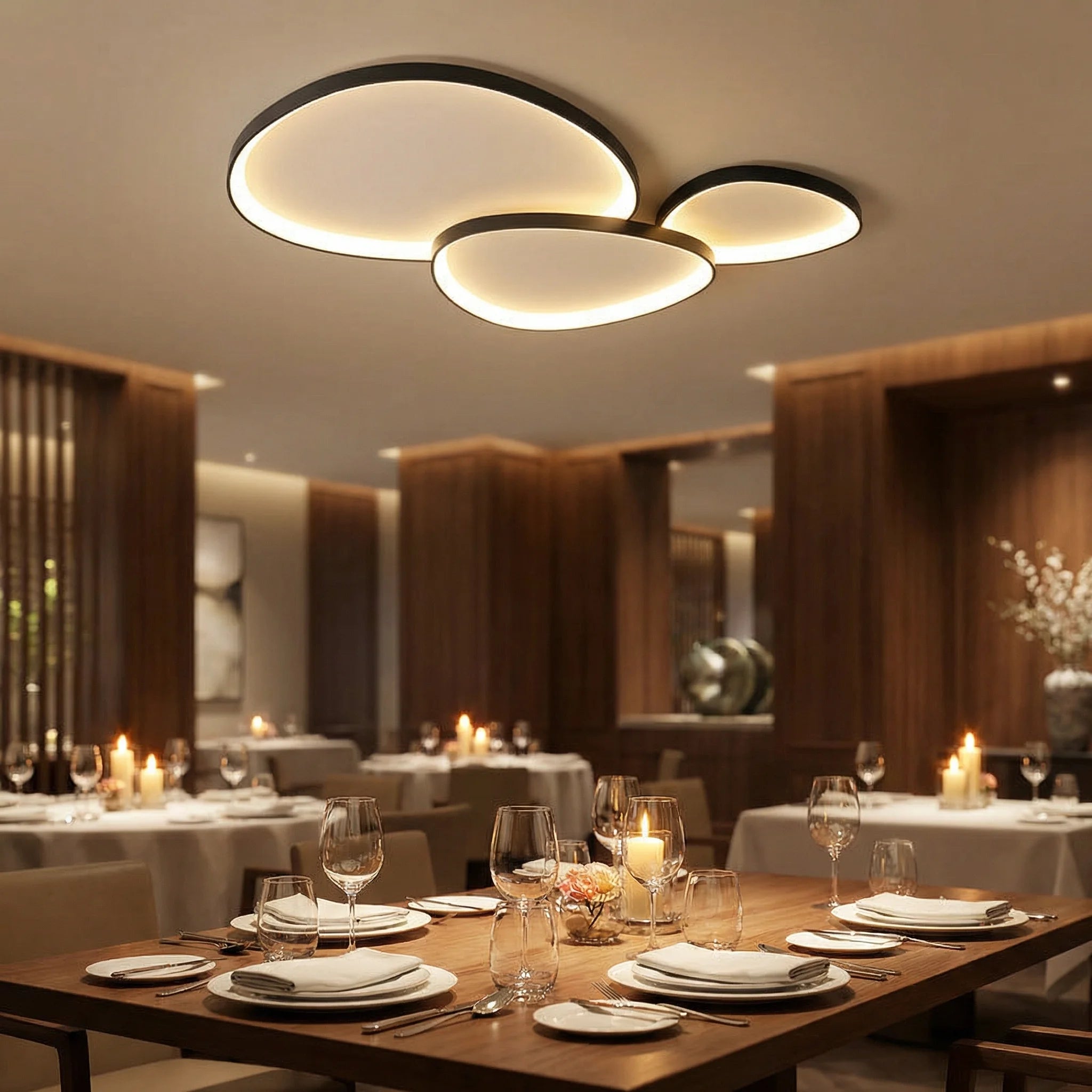 Elias Modern Ceiling Light – Aluminum Frame